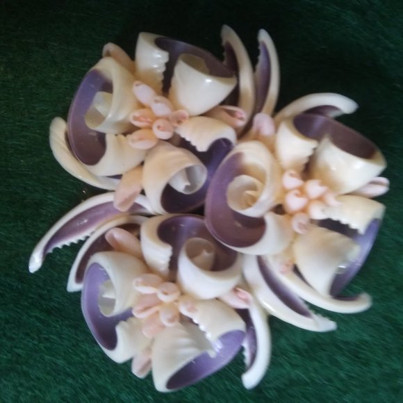 Vintage genuine seashells brooch  very cool unique